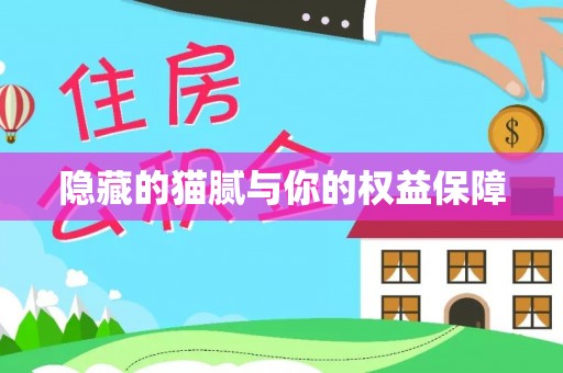 古镇隐藏的猫腻与你的权益保障